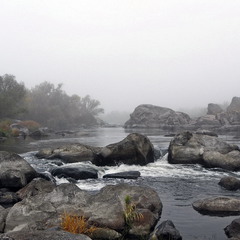 Річка в ранішньому тумані
