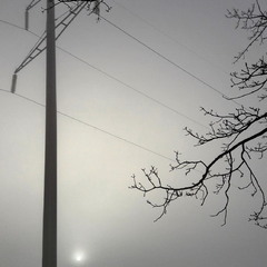 Дзвенять високою напругою дроти...І сонце проглядає крізь туман..