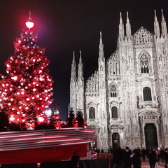 Святкова ялинка на piazza Duomo в Мілані