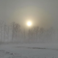 Крізь туман до сонця