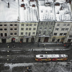 Мокрий сніг у Львові