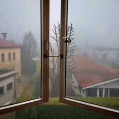 Вікно в туман