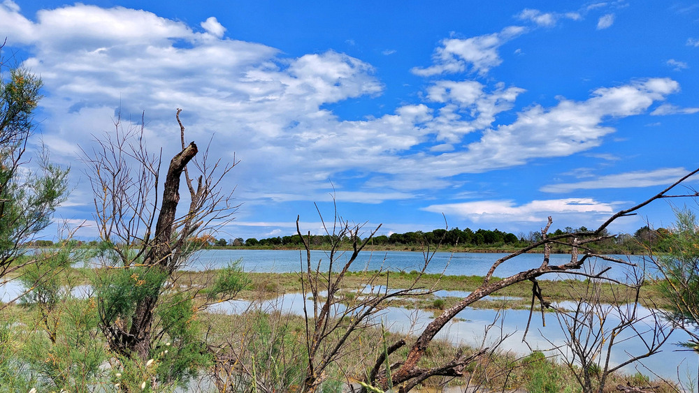 Laguna Del Mort Photographers Ua