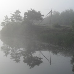 Ранковий туман над рікою
