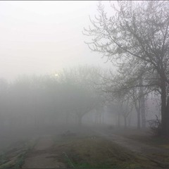 Утро, туман