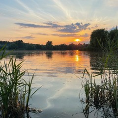 Захід сонця на озері у Святошин