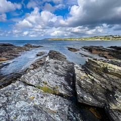 Rocky shore