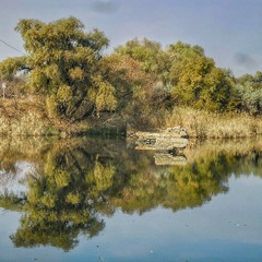 Бруно Бердинацци