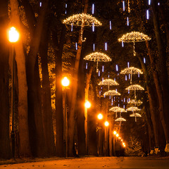 Харьковские зонтики