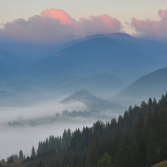 Туман долиною