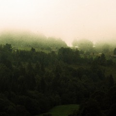 десь в тумані тоне ліс...