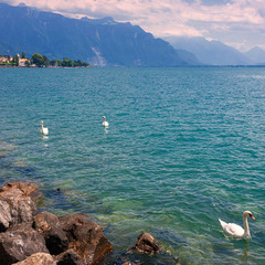 На Женевском озере