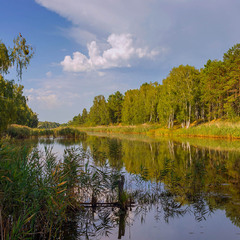 Серпневі споглядання