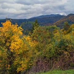 Осінь у передгір'ях
