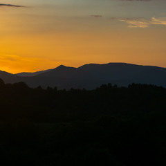 Боржавський хребет