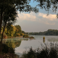 Ранком на озері.