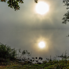Ранковий туман на озері.