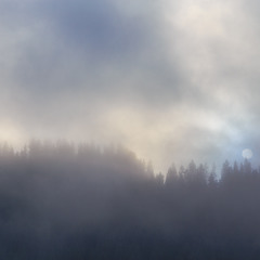 Верховинські тумани