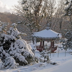 Корейский сад в киевском ботсаду