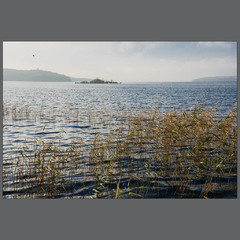 Tollense Lake (Germany)