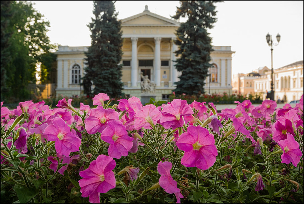 Городские цветы фото