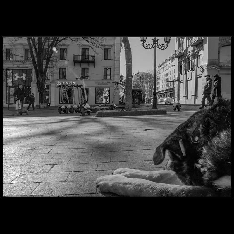 Обработка Фото Ростов – Telegraph