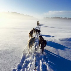 Snow road (Finland)