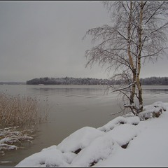 Зимний пейзаж Финляндии