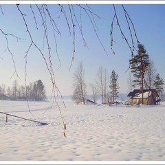 зима на лесном озере