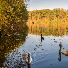 Золотая осень над озером... Остановись мгновение!...