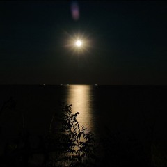 Лунная дорожка