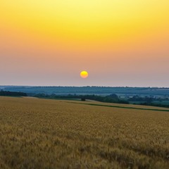 Летний закат