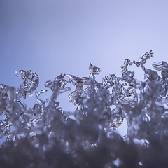 Лед на окне