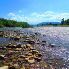 Річка поблизу Карпат