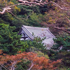 Глубокой стариной повеяло… Сад возле храма засыпан палым листом... © Мацуо Басё.