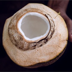 Внутри кокоса...