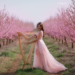 Цветения персика