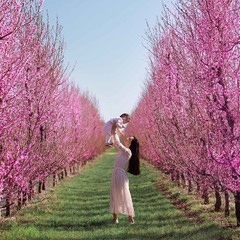 Фотосессия в персиковом саду