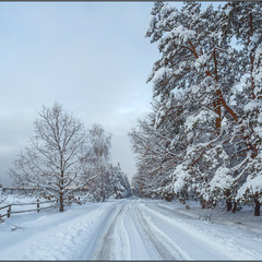Дорога в Зиму