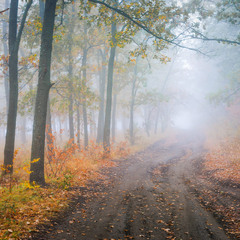 Блукав я, якось, біля річки)