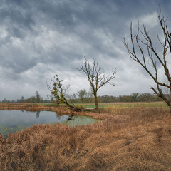 Марш мерців...