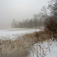 Туманный день на Озере.