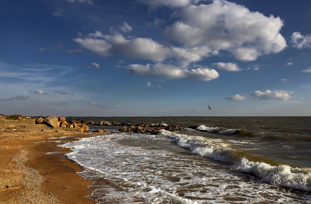 Азовское море время сейчас. Азовское море пейзажи. Азовское море рисунок. Желтое Азовское море. Картинка для детей Азовское море.