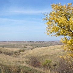 Вид на Новогригорівку
