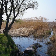 Весна над затопленими селами Переяславщини