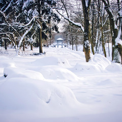 Зимний парк Александрия
