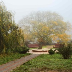 Парк, туман