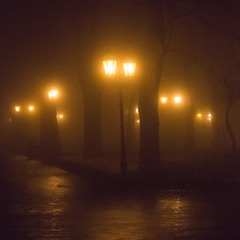 ночной горсад в тумане
