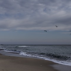 море облака и чайки