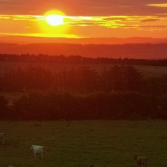 ☀ "Sunrise Over the Pastures" - ☀ "Схід сонця над пасовищами"